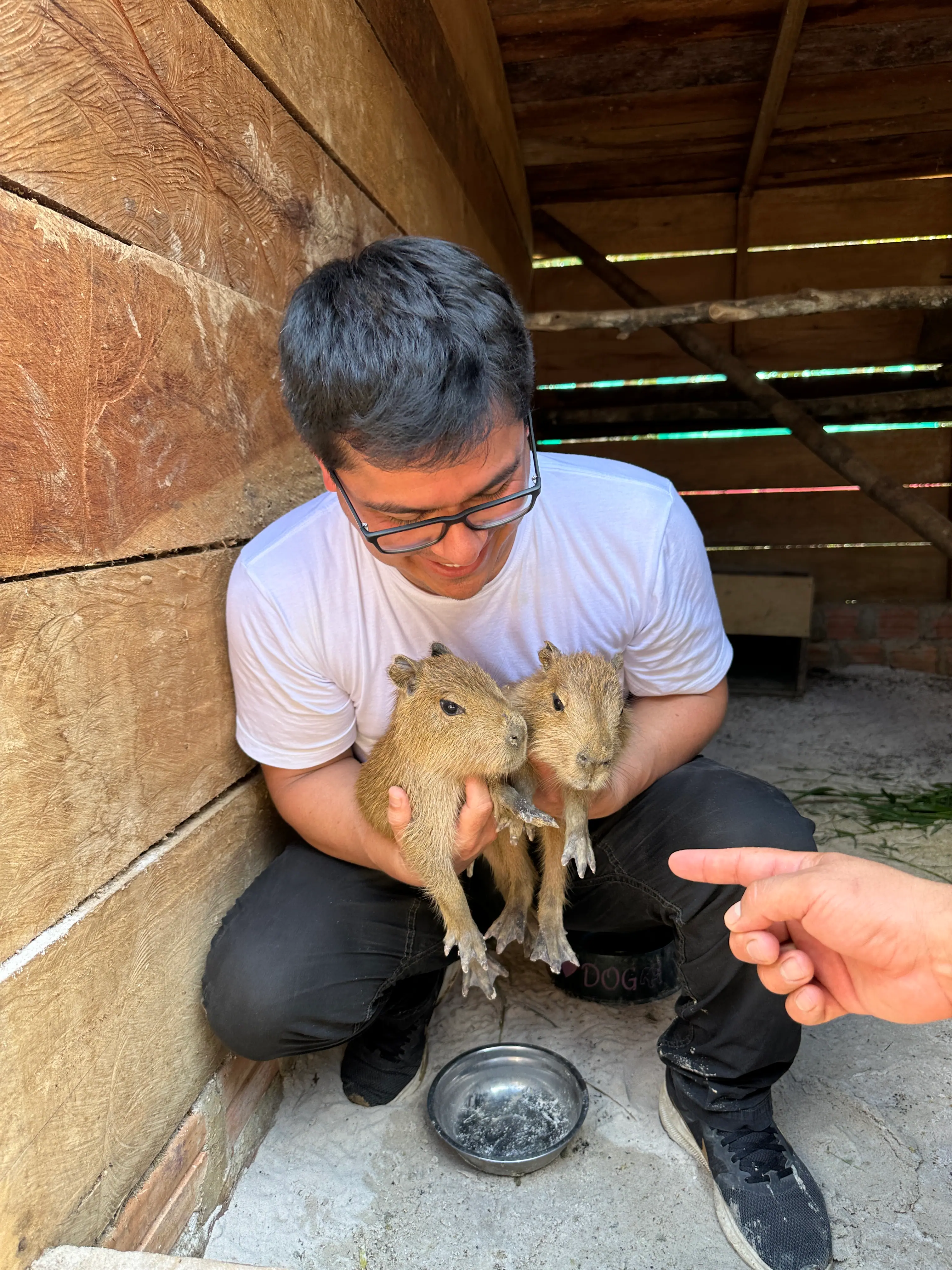 Hombre cargando 2 capibaras